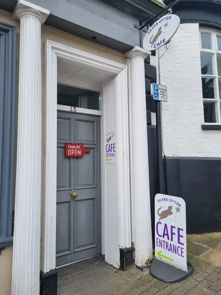 Ralf Pearson_The Silver Otter Cafe_Ottery St Mary_review