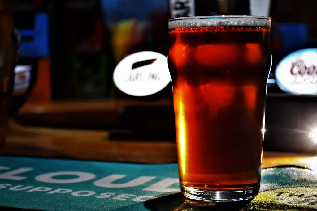 Menu_The Kings Arms_Ottery St Mary_immagine_8