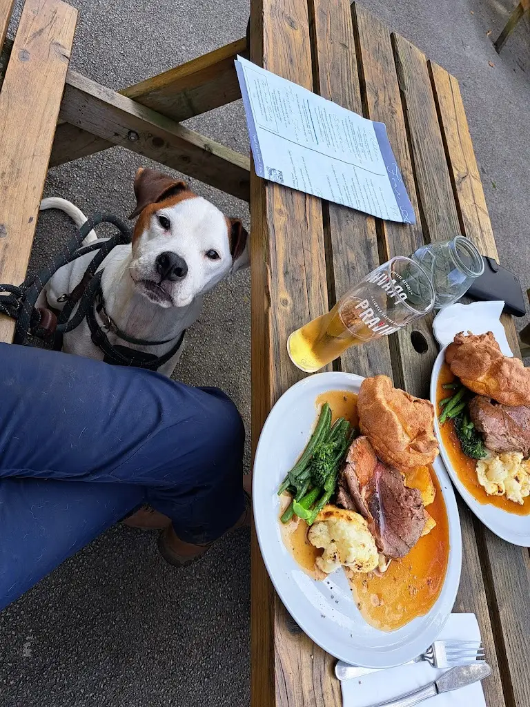 Kristina_Four Alls_Padiham_recensione