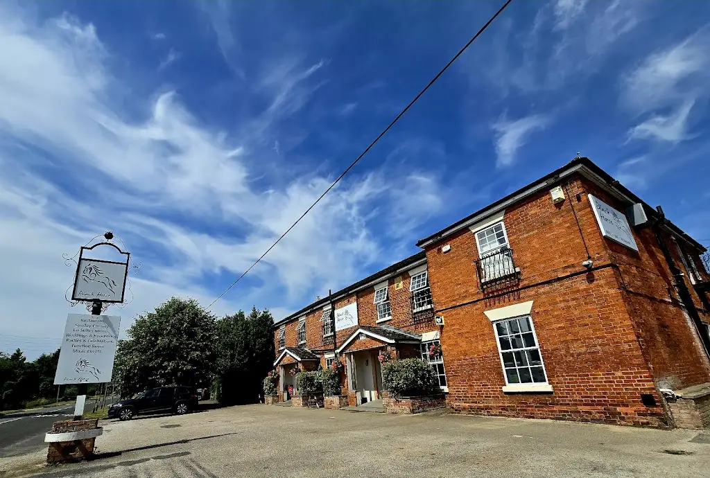 Claire Dragon_The Black Horse_Baston_review