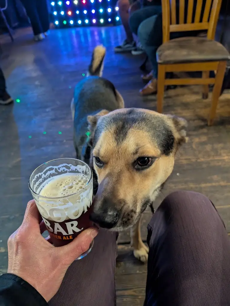 The Waggon & Horses_Peasedown Saint John_slider_image_3