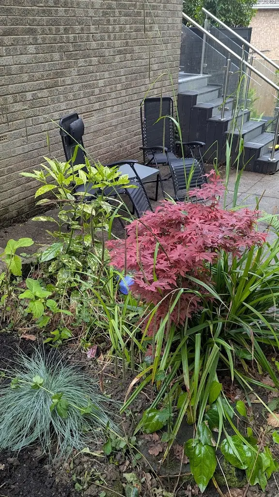 Hashim_Weetons Leeds Road_Pannal_review