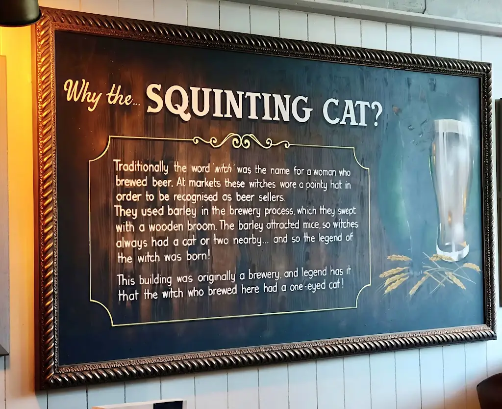 Menu_Squinting Cat_Pannal_immagine_2