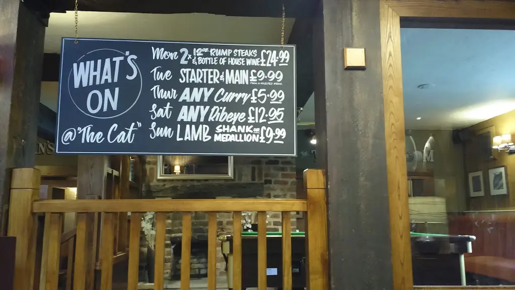 Menu_Squinting Cat_Pannal_immagine_3