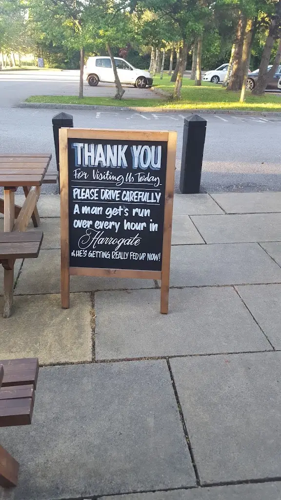 Menu_Squinting Cat_Pannal_immagine_4