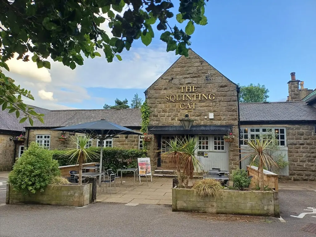 Squinting Cat_Pannal_slider_image_3