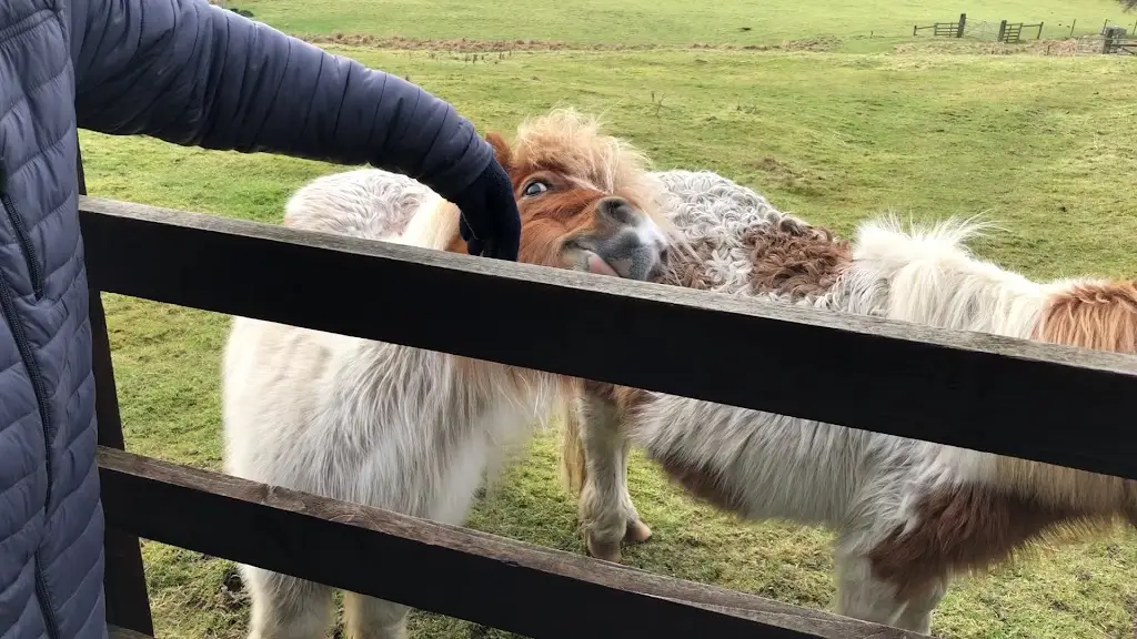 The Yorke Arms_Pateley Bridge_slider_image_2