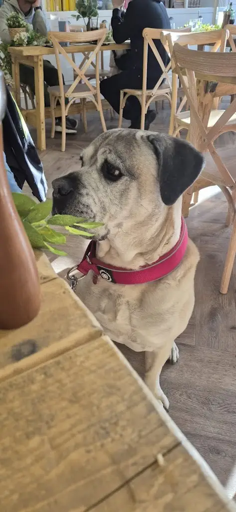 Cameron Baker_The New Inn_Penistone_review