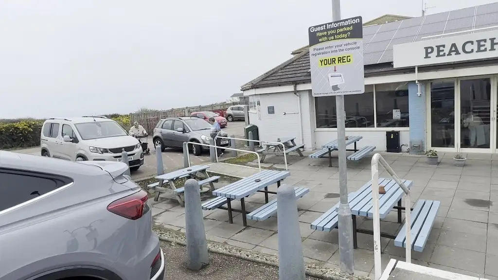 Kenneth Davidson_The Peacehaven_Peacehaven_review