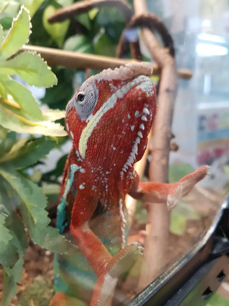 Menu_Gateway Cafe_Peacehaven_image_6