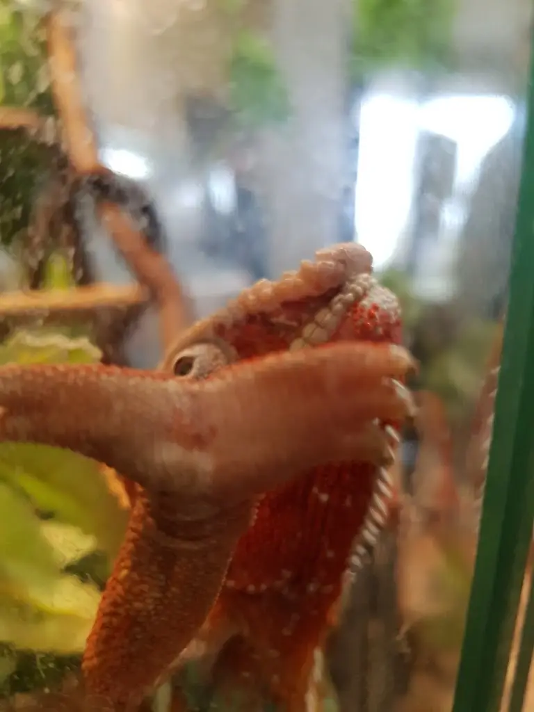 Menu_Gateway Cafe_Peacehaven_image_8