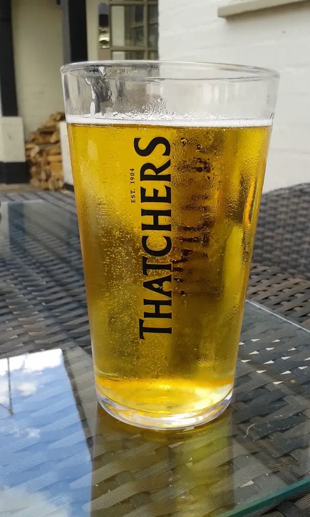 Menu_The Pickled Plum Pub_Pershore_image_7