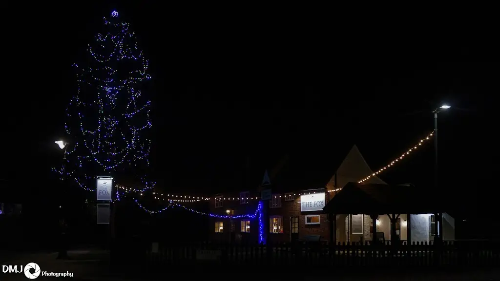 David Joyce_The Fox_Pirton_review