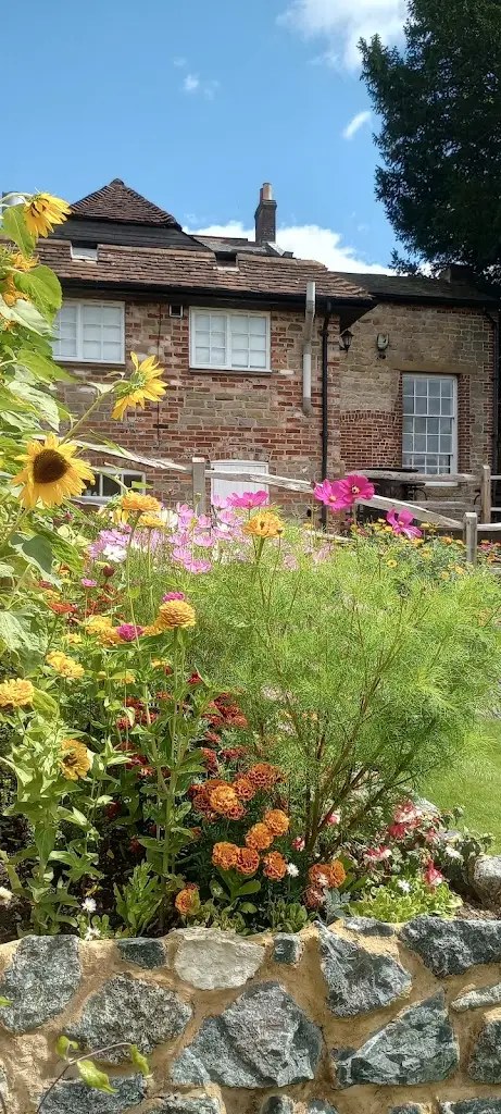 Andrew Kelly_The Black Horse Inn_Petworth_review