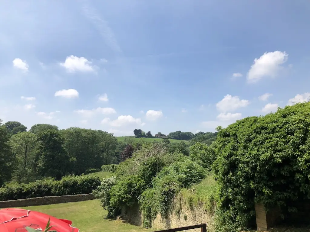 Tanya Savage_The Black Horse Inn_Petworth_review