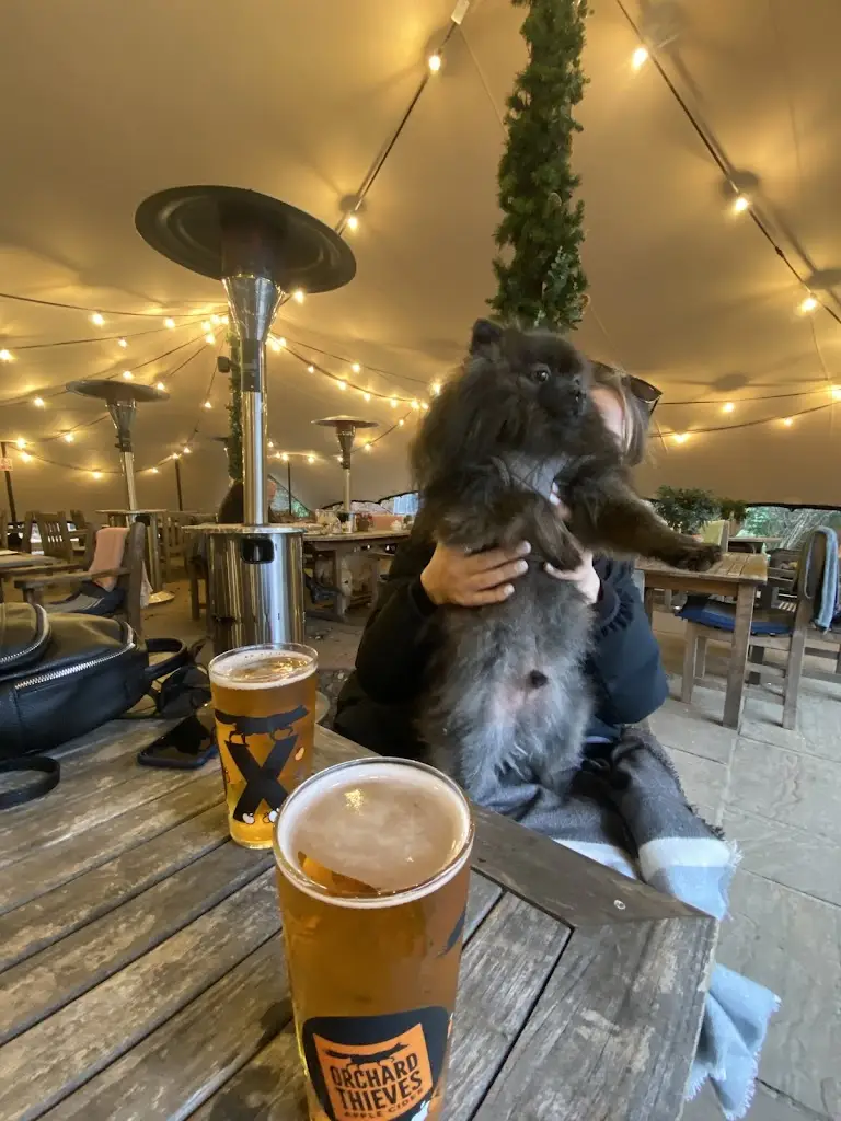 Menu_The Angel Inn_Petworth_image_6