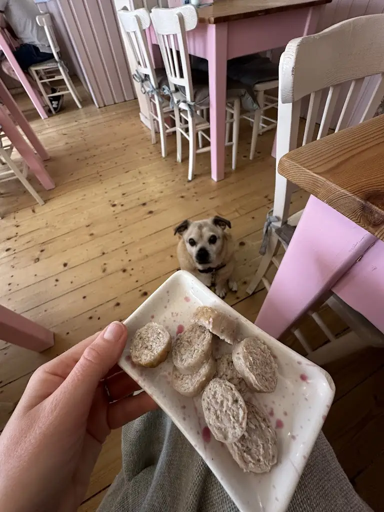 Amber F_Tiffins of Petworth_Petworth_Bewertung