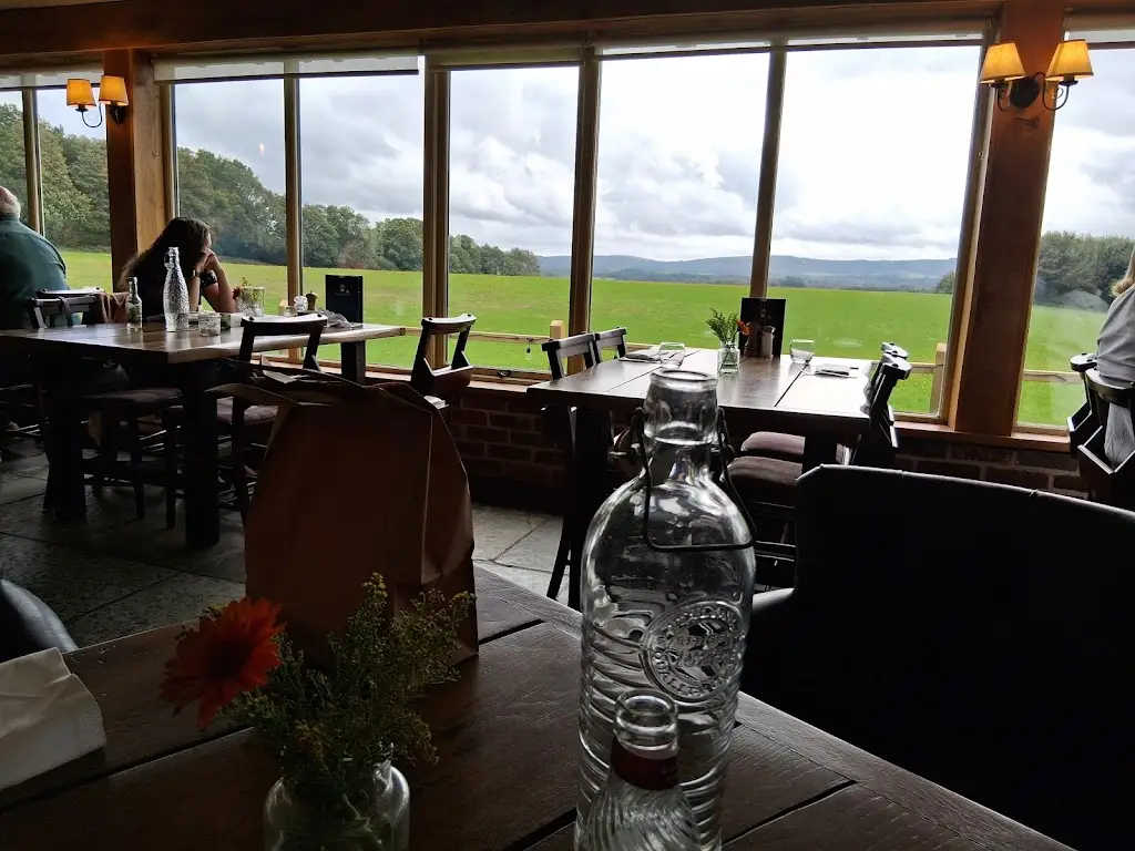 Therese Cole_The Welldiggers Arms_Petworth_review