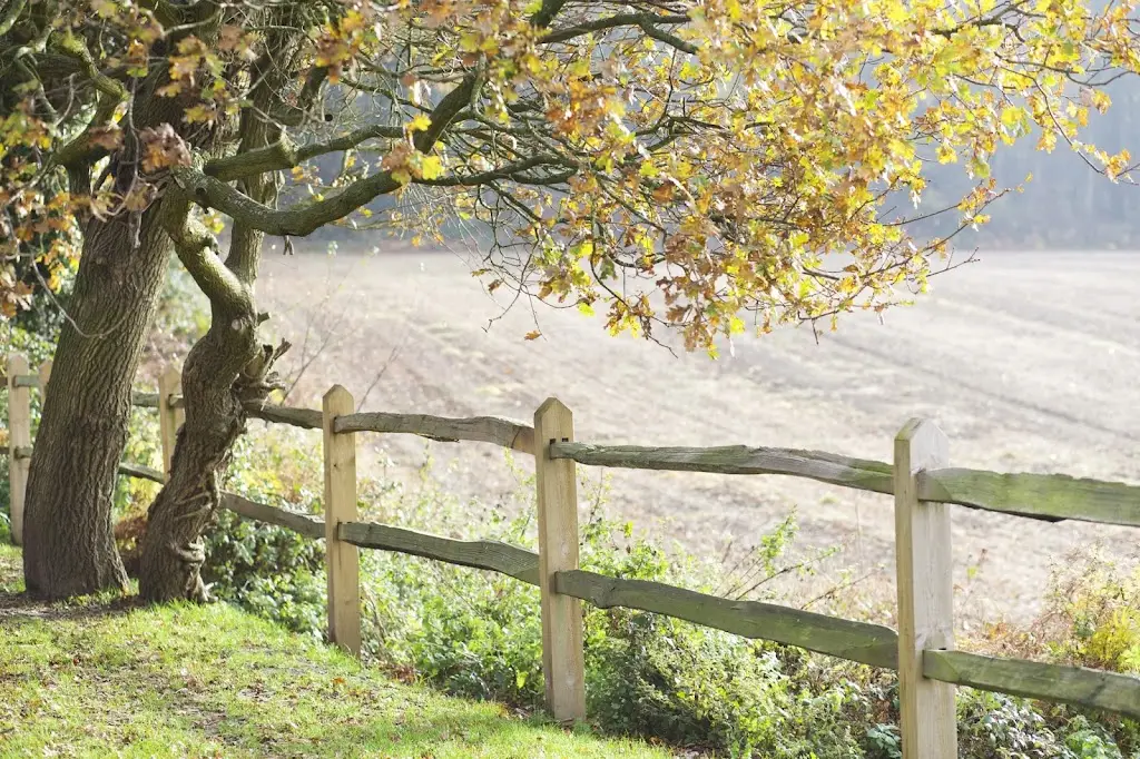 The Welldiggers Arms_Petworth_slider_image_3