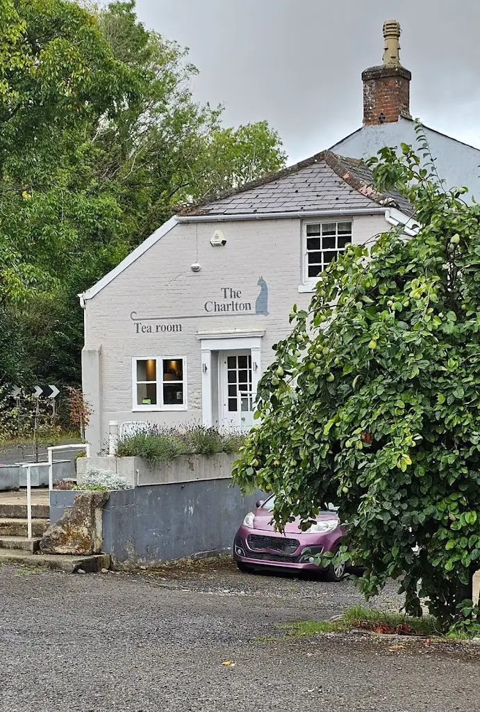 The Charlton Cat_Pewsey_slider_image_3