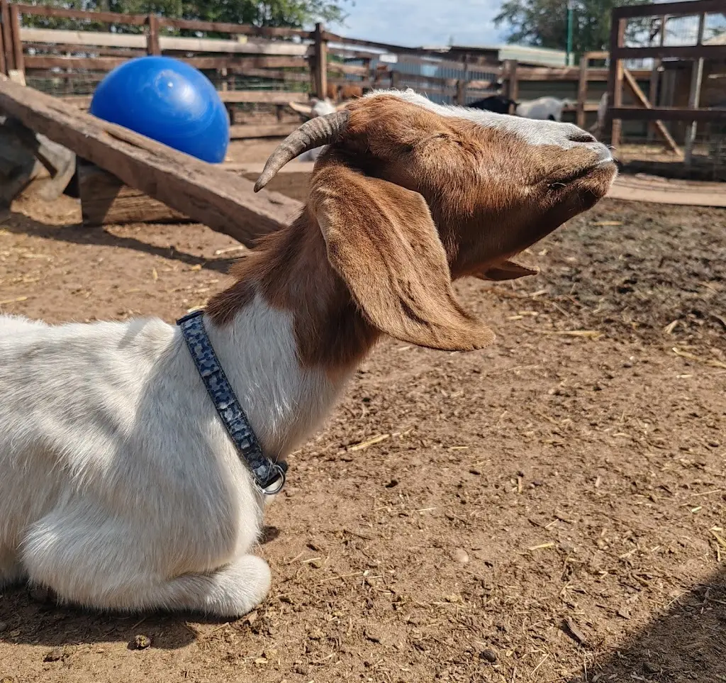 polesworth donkey diner_Polesworth_slider_image_2