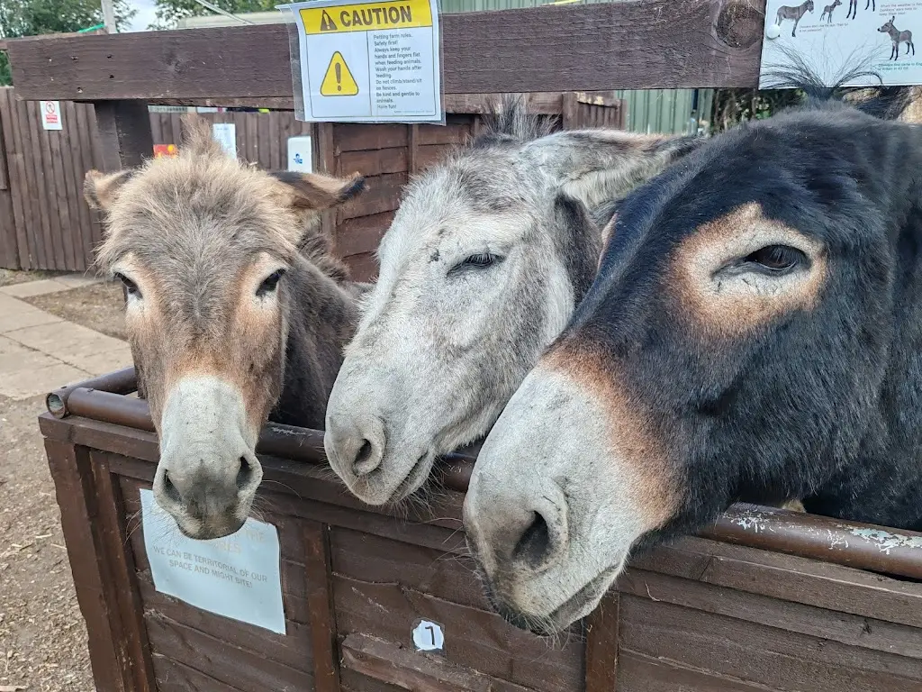 polesworth donkey diner_Polesworth_slider_image_3