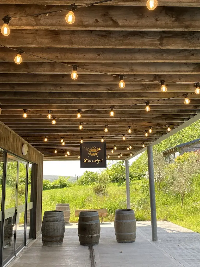 Stephen Graham_Barnaby's Padstow_Padstow_review