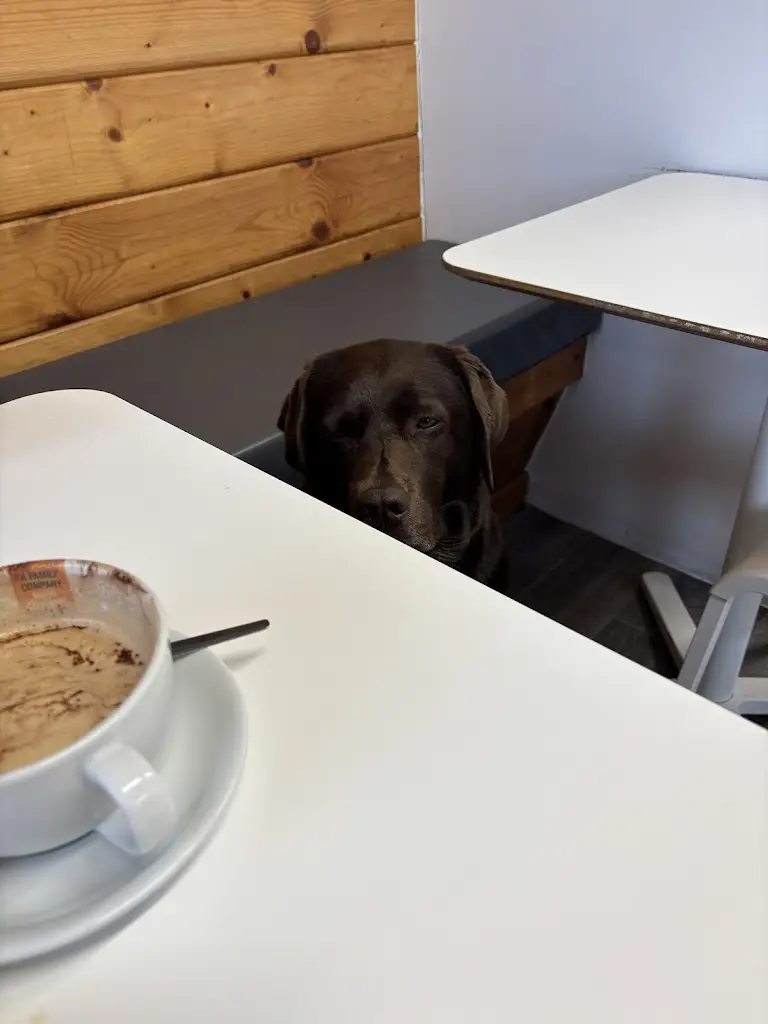 Graham Avent_Ben's Crib Box Cafe_Padstow_review