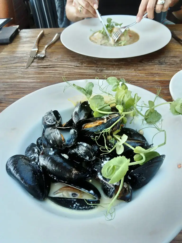 Menu_The Pickwick Inn & Oliver's Restaurant_Padstow_image_7