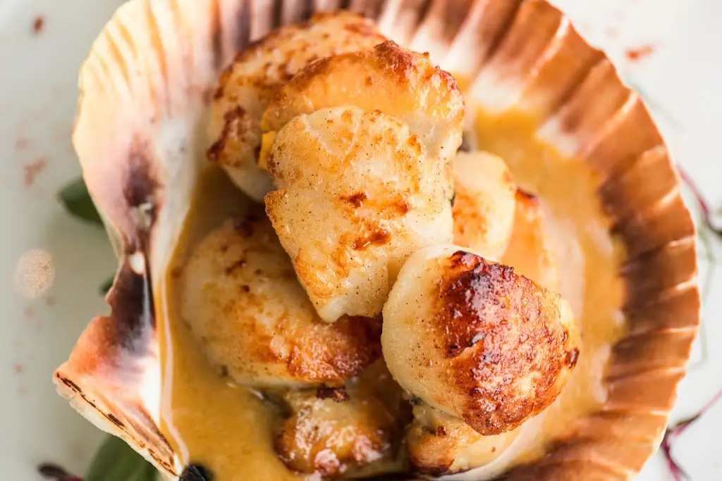 Menu_The Pickwick Inn & Oliver's Restaurant_Padstow_image_8