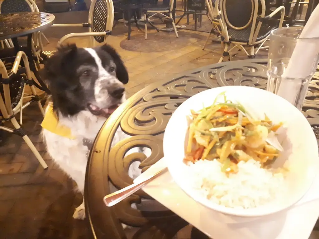 Menu_Oriel on the Quay_Poole_image_7