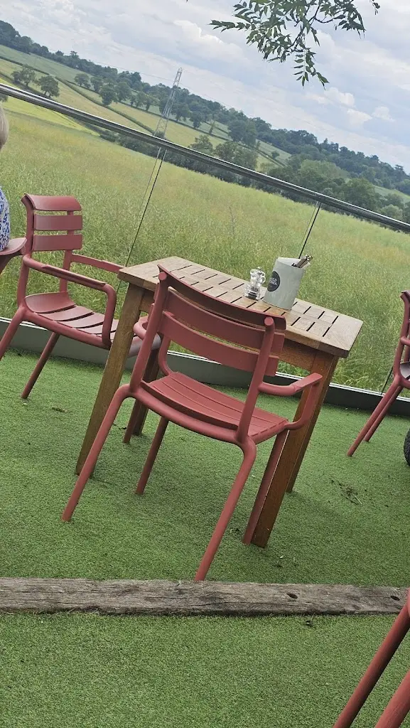 Lily N_The Old Guinea_Potters Bar_review