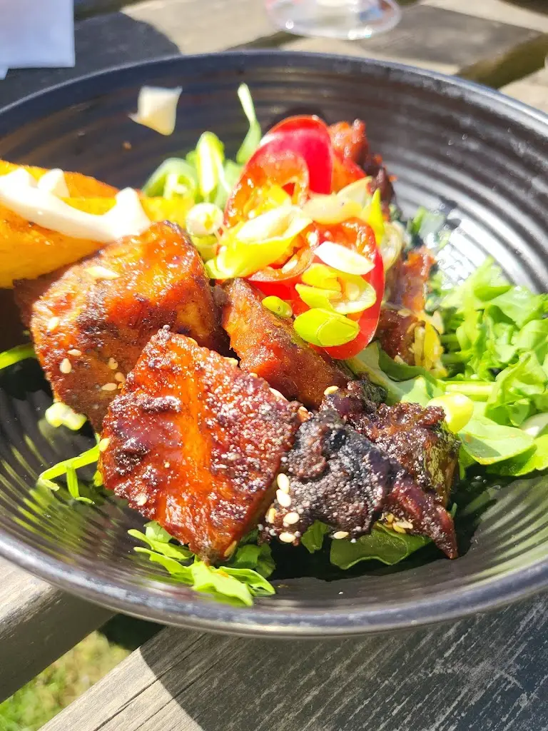 Hans SNE_The Moorings_Barrow upon Soar_review