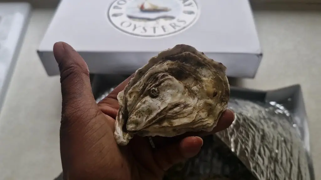Porlock Bay Oysters_Porlock_slider_image_2