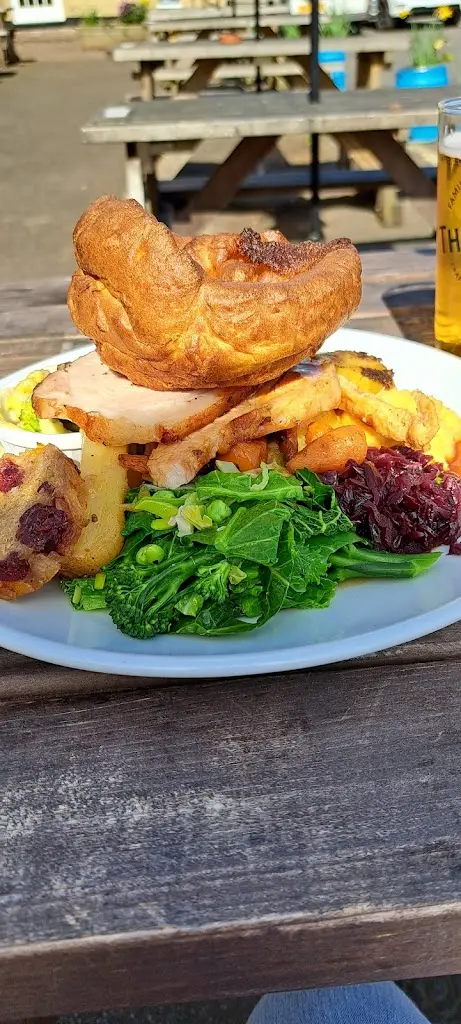 Tricia Mundy_The Bottom Ship_Porlock_review