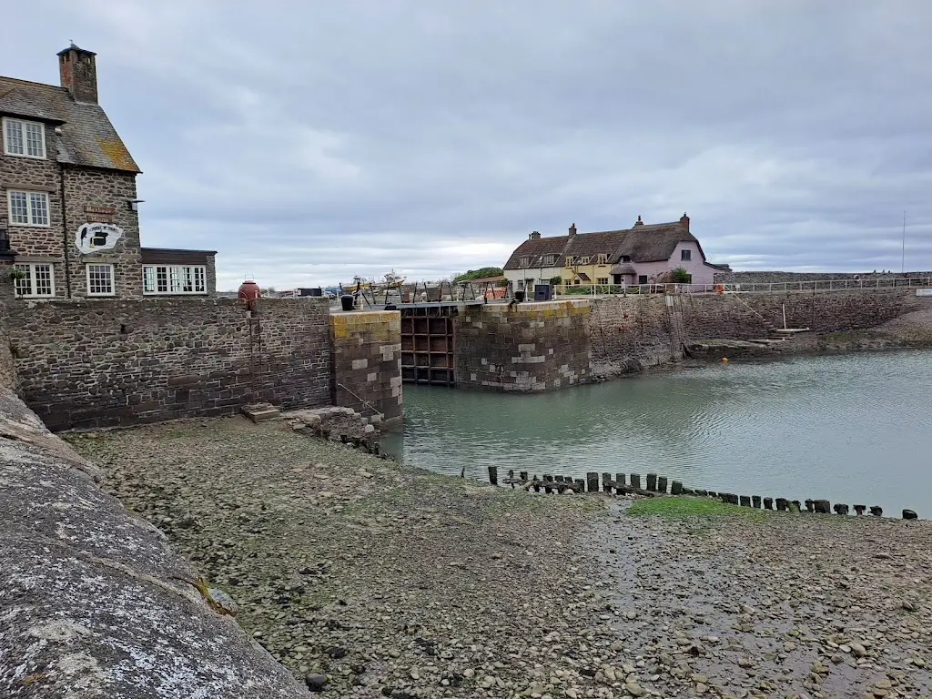 Honey Bee_The Bottom Ship_Porlock_review