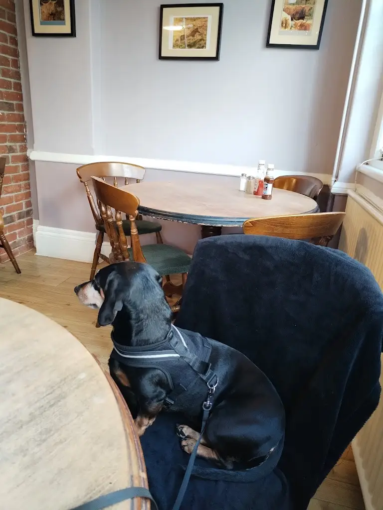 Claire W_The Castle_Porlock_review