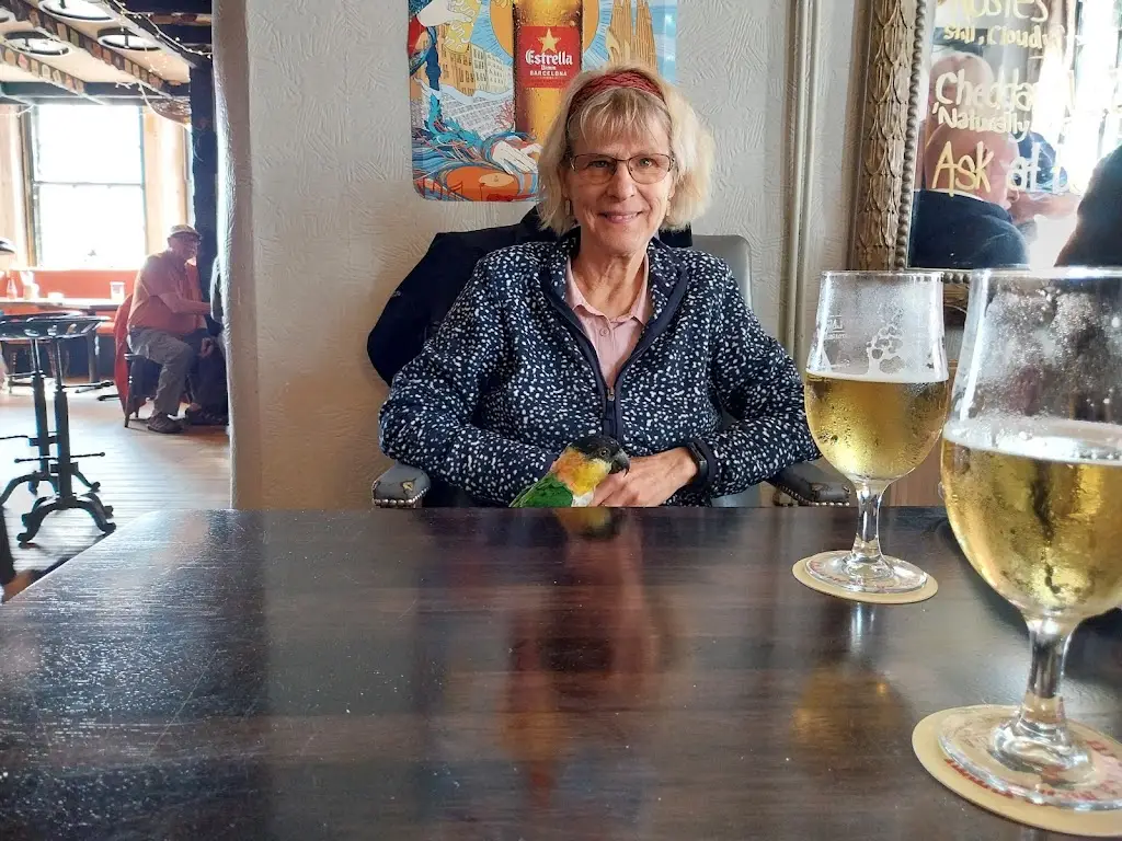 Keith Hainge_The Old Ship Aground_Porlock_review