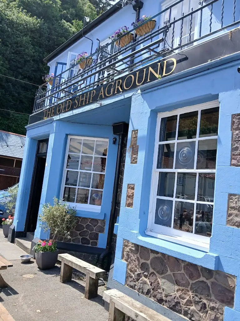 G Force_The Old Ship Aground_Porlock_review