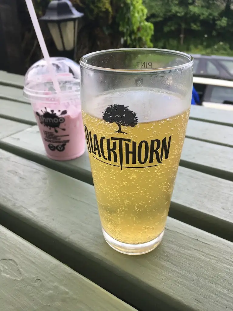 Menu_Smugglers Rest_Polperro_image_6