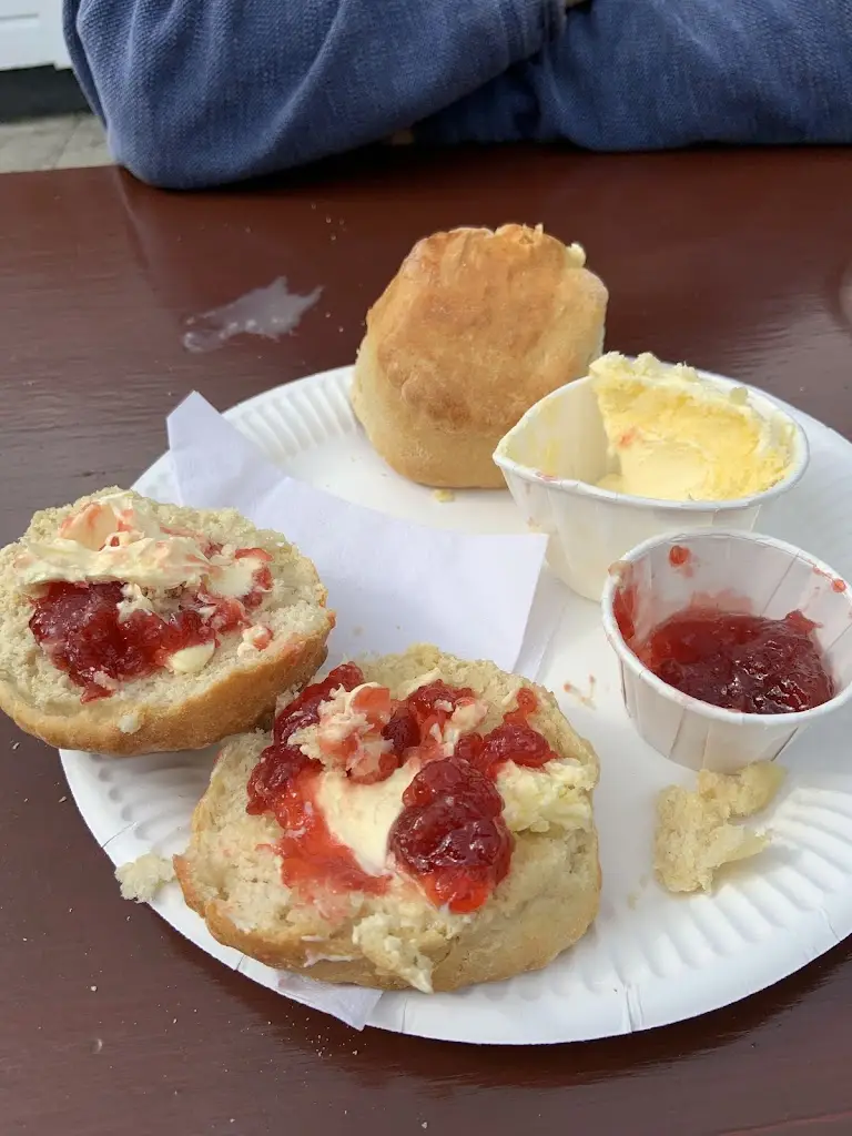 Oskar_Polperro Seafood And Sandwich Bar_Polperro_review