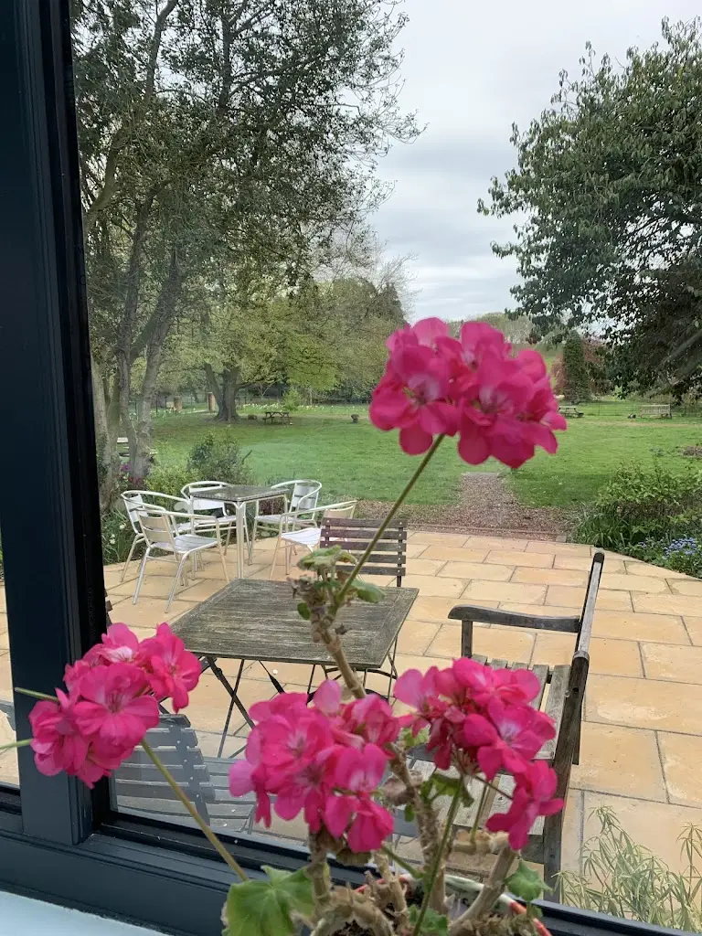 Anne Marie Stagg_World Peace Cafe Pocklington_Pocklington_review