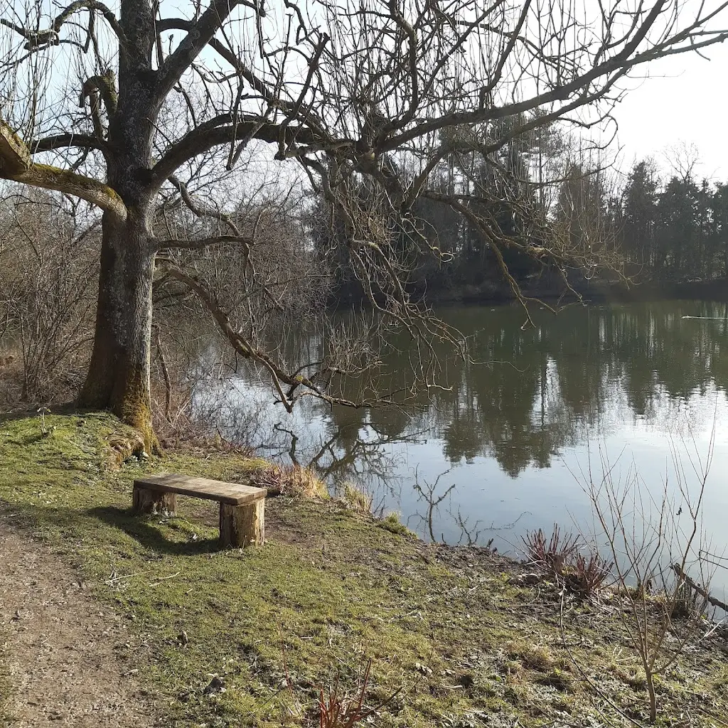 Lisa Shackleton_World Peace Cafe Pocklington_Pocklington_review