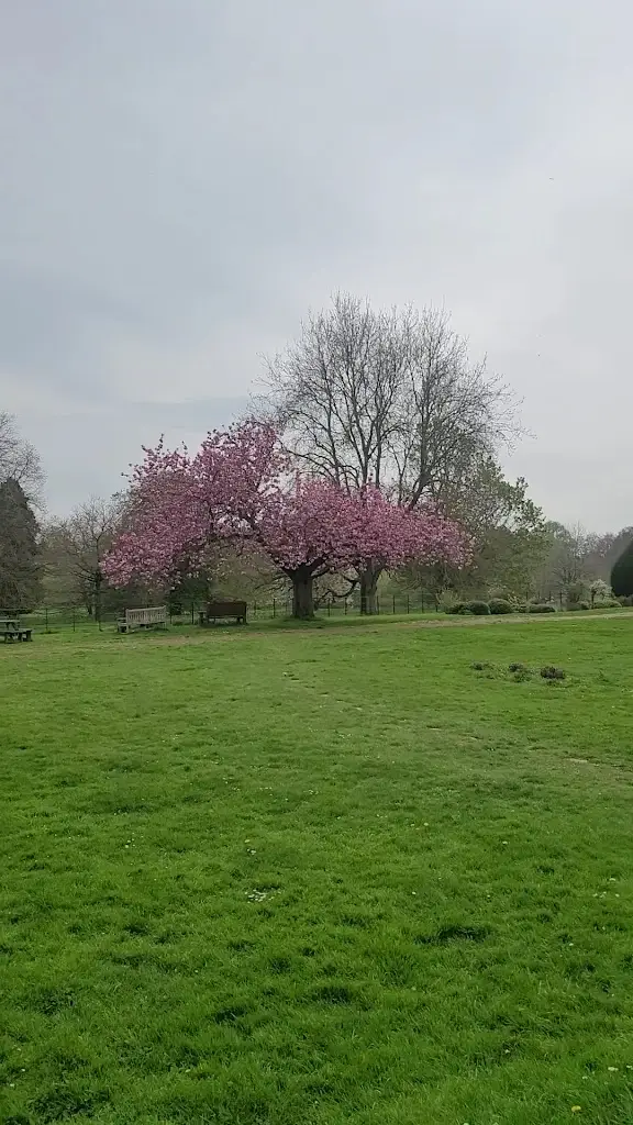 World Peace Cafe Pocklington_Pocklington_slider_image_2