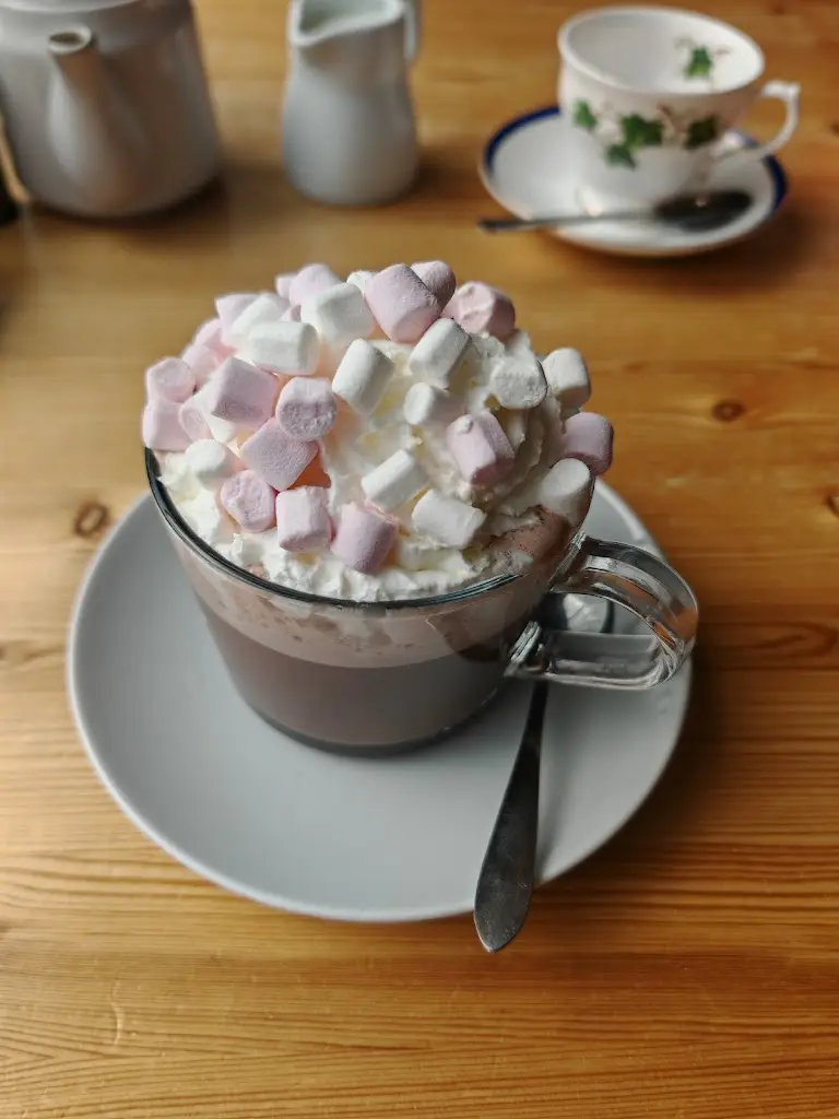 Abigail Field_Lilypad Cafe_Pocklington_review