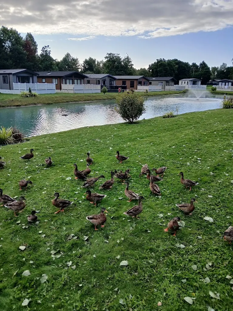 Liz Illingsworth_Allerthorpe Lakeland Park_Pocklington_review