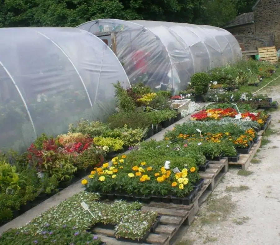 Bridge Farm Café_Rainford_slider_image_2