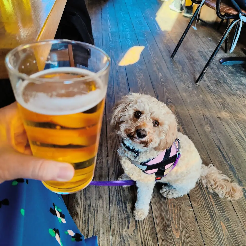 Menu_Cuckoo_Prestwich_image_5