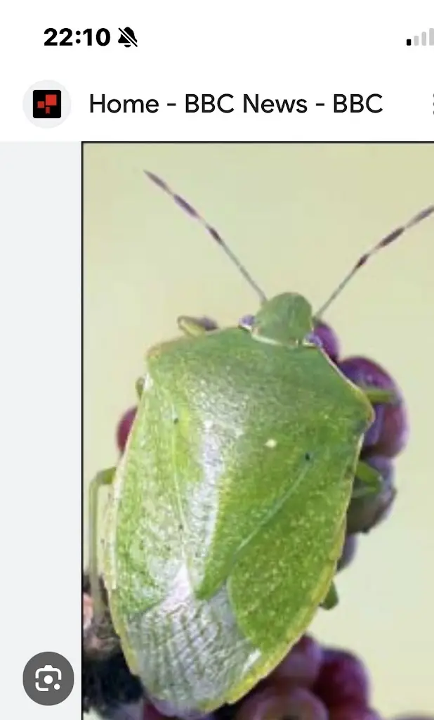 Tina Hill_Baan Thai_Barton-le-Clay_review