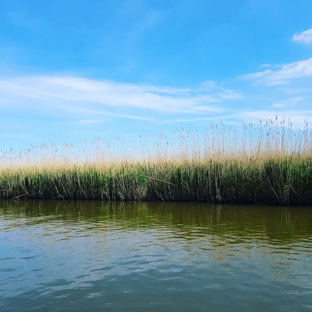 Reedham Fish and Chips ristorante a Reedham